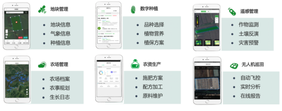 &#31859;&#20848;